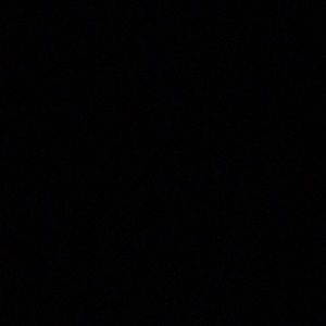 Meet your Posher, Daniela